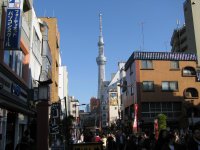 IMG_3651.JPG